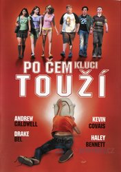 Po čem kluci touží? (DVD)