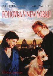 Pohovka v New Yorku (DVD)