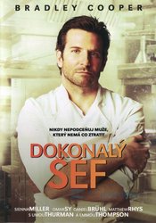 Dokonalý šéf (DVD)