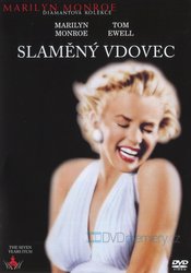 Slaměný vdovec (DVD)