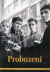 Probuzení (DVD)