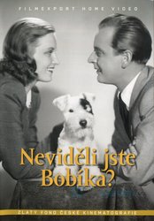 Neviděli jste Bobíka? (DVD)