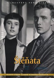 Štěňata (DVD)