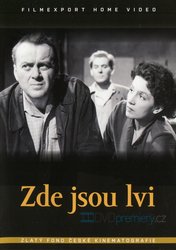 Zde jsou lvi (DVD)