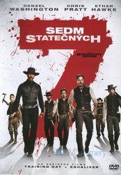 Sedm statečných (2016) (DVD)