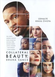 Collateral Beauty: Druhá šance (DVD)