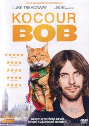 Kocour Bob (DVD)