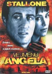 Ve jménu Angela (DVD)