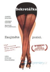 Sekretářka (DVD)
