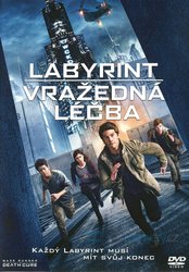 Labyrint: Vražedná léčba (DVD)