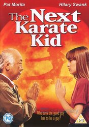 Nový Karate Kid (DVD) - DOVOZ