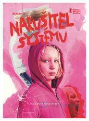 Narušitel systému (DVD)