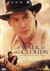 Procházka v oblacích (DVD) - DOVOZ