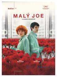 Malý Joe (DVD)