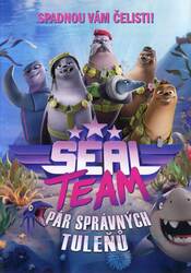 Seal Team: Pár správných tuleňů (DVD)
