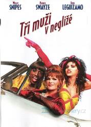 Tři muži v negližé (DVD)