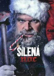 Šílená noc (DVD)