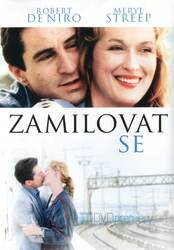 Zamilovat se (DVD)