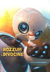 Rozzum v divočině (DVD)