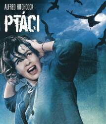 Ptáci (BLU-RAY) 