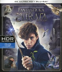 Fantastická zvířata a kde je najít (4K ULTRA HD+BLU-RAY) (2 BLU-RAY)