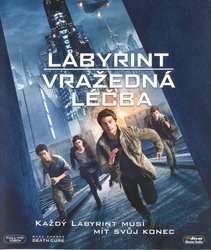 Labyrint: Vražedná léčba (BLU-RAY)