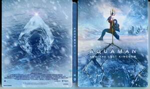 Aquaman a ztracené království (BLU-RAY + DVD) - STEELBOOK (motiv Ice)