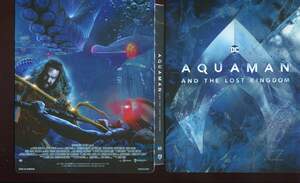 Aquaman a ztracené království (4K UHD + BLU-RAY) - STEELBOOK (motiv Icon)