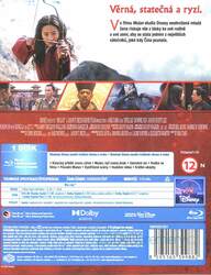 Mulan (2020) (BLU-RAY) - STEELBOOK - nové filmové zpracování