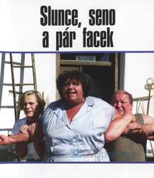 Slunce, seno a pár facek (BLU-RAY)