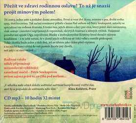 Pod sněhem (MP3-CD) - audiokniha