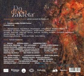 Cimbálová muzika Technik, Ensemble Flair, Jan Rokyta - Do dřeva zakletá (2 CD)