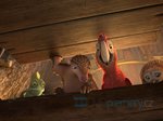 6/6  - Robinson Crusoe: Na ostrově zvířátek (2016) - FOTOGALERIE - FILM