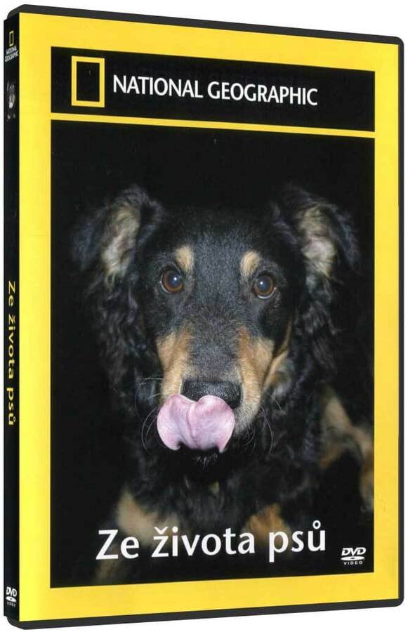 Ze života psů (DVD) - National Geographic