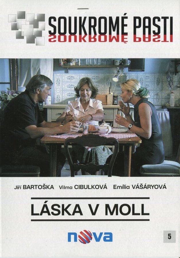 Levně Soukromé pasti - Láska v moll (DVD) (papírový obal)