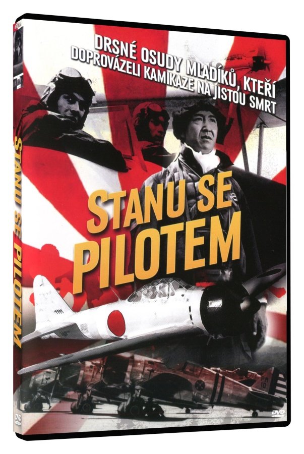 Levně Stanu se pilotem (DVD)