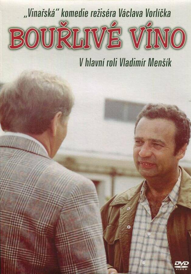 Levně Bouřlivé víno (DVD) (papírový obal)