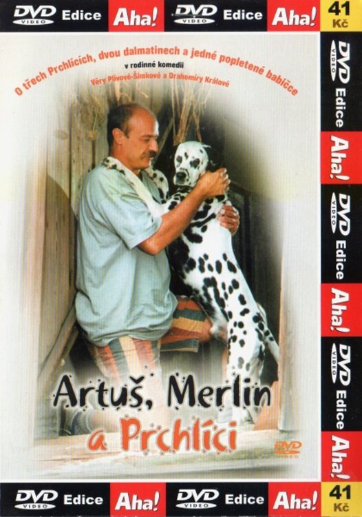 Artuš, Merlin a Prchlíci (DVD) (papírový obal)