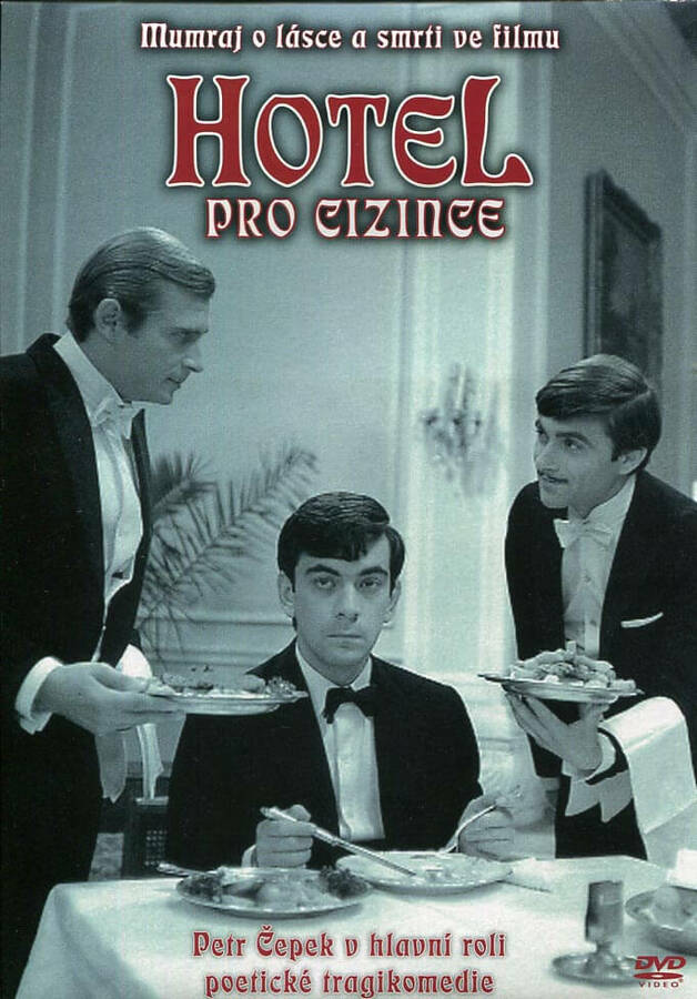 Levně Hotel pro cizince (DVD) (papírový obal)