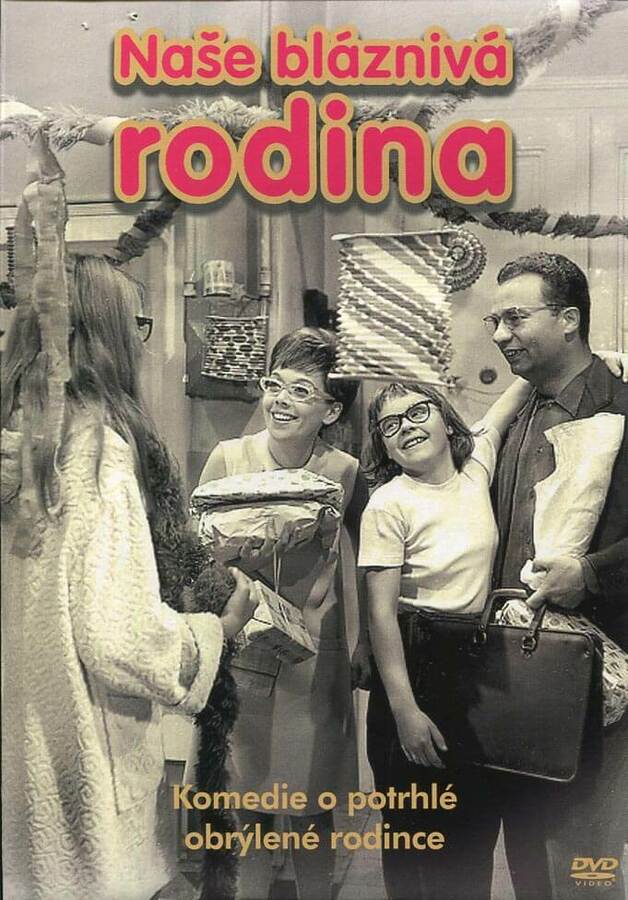 Levně Naše bláznivá rodina (DVD) (papírový obal)