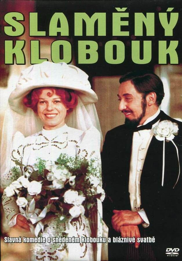 Levně Slaměný klobouk (DVD) (papírový obal)