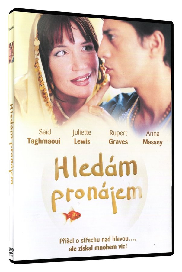 Levně Hledám pronájem (DVD)