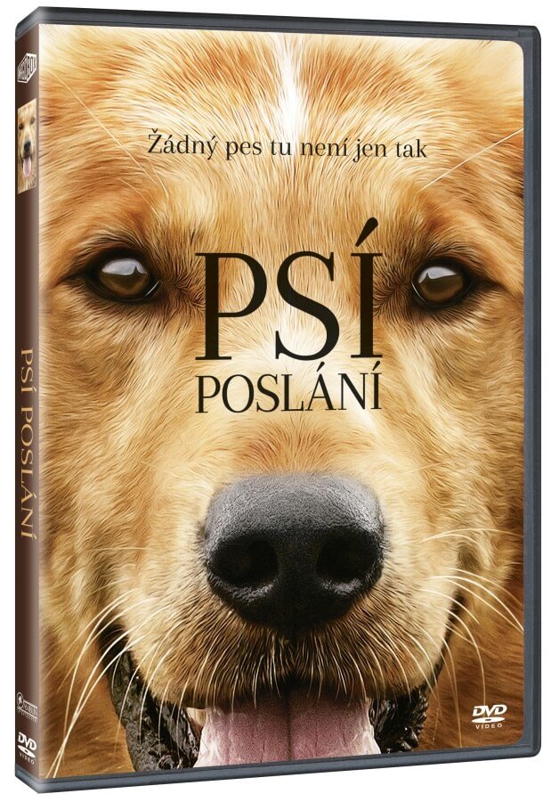 Levně Psí poslání (DVD)