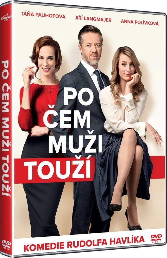 Levně Po čem muži touží (DVD)