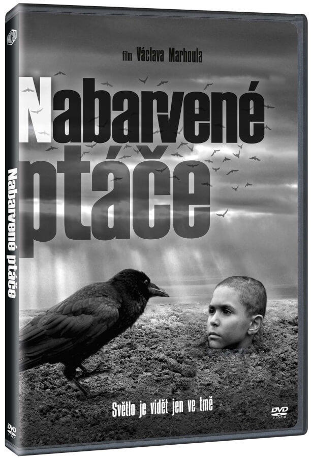 Levně Nabarvené ptáče (2 DVD)