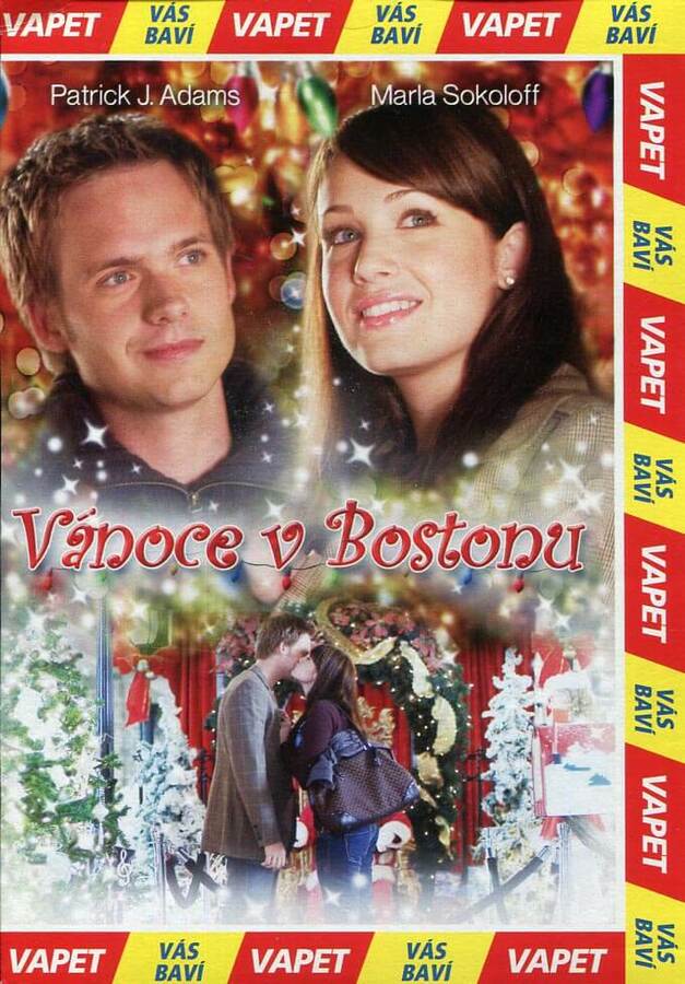 Levně Vánoce v Bostonu (DVD) (papírový obal)