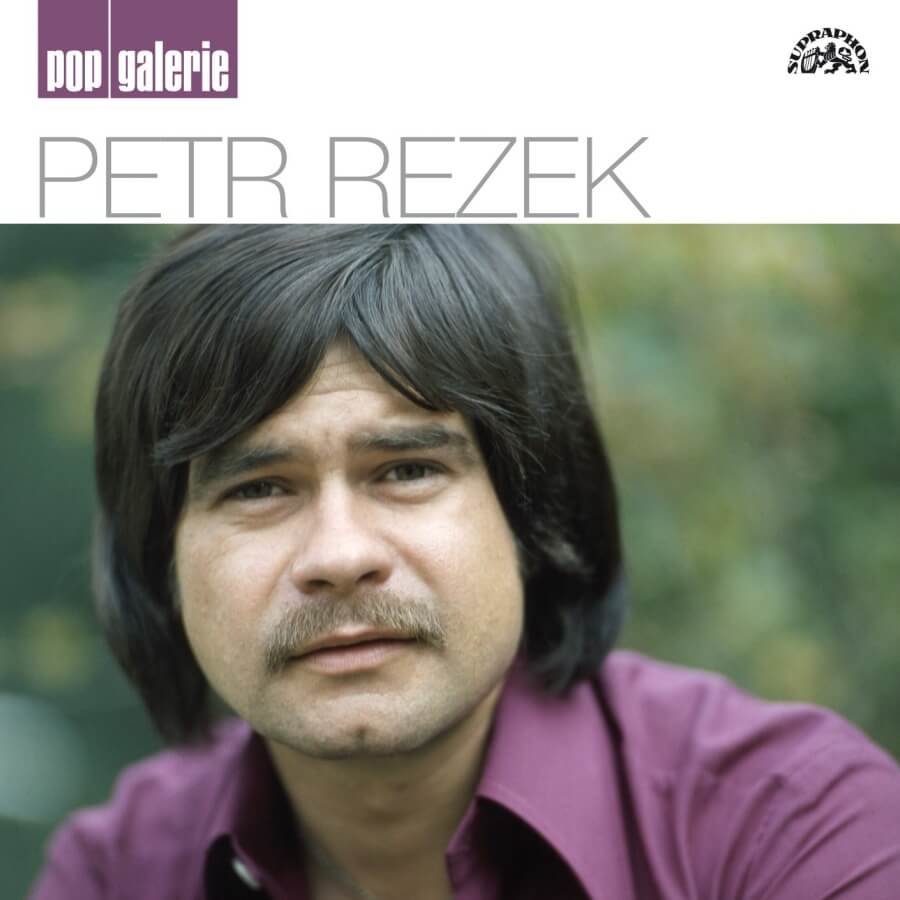 Levně Petr Rezek: Pop galerie (CD)