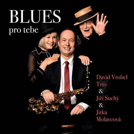 Levně David Vrobel Trio, Jiří Suchý - Blues pro tebe (CD)