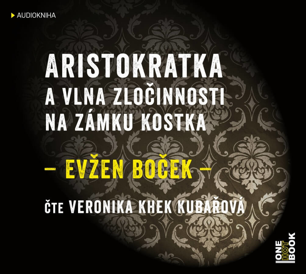 Levně Aristokratka a vlna zločinnosti na zámku Kostka (MP3-CD) - audiokniha