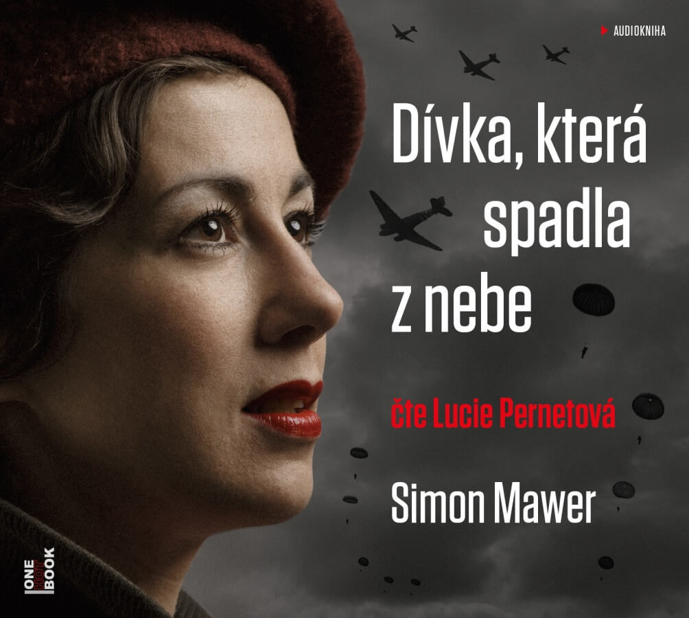 Levně Dívka, která spadla z nebe (MP3-CD) - audiokniha